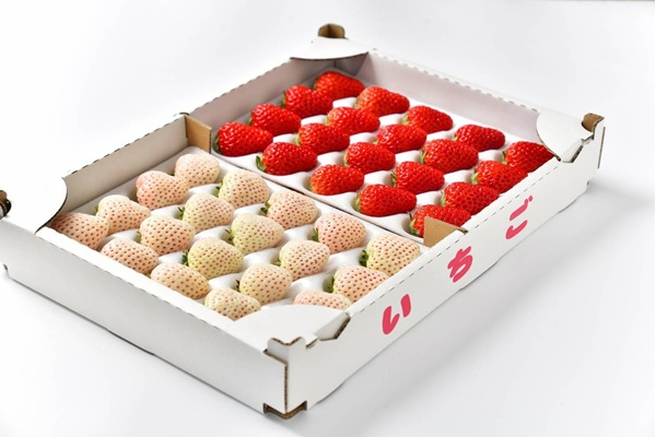 幸せの紅白いちご