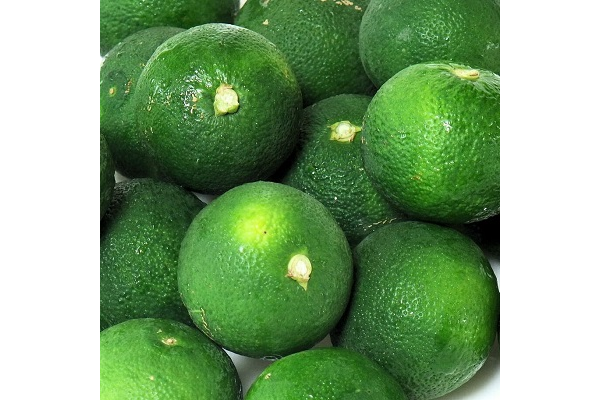 ギフトセット（５種類の飴とバッグのセット）