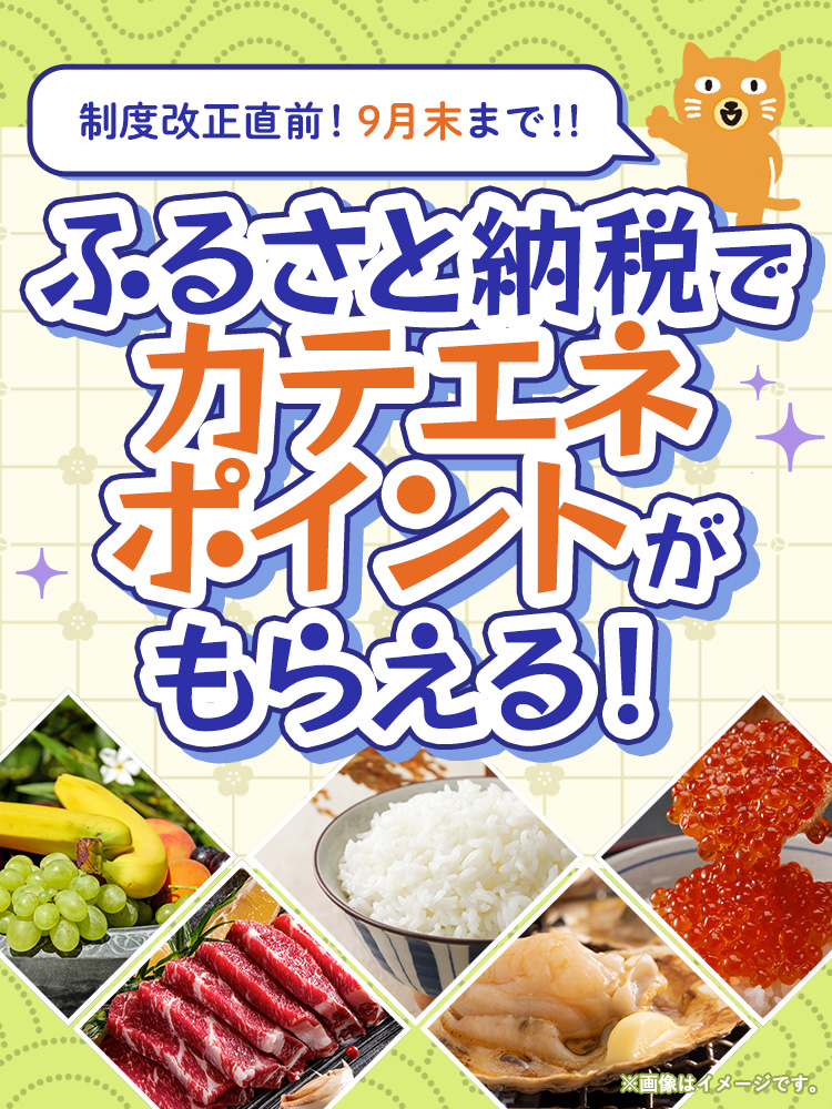 【特集】2025年ふるさと納税特集