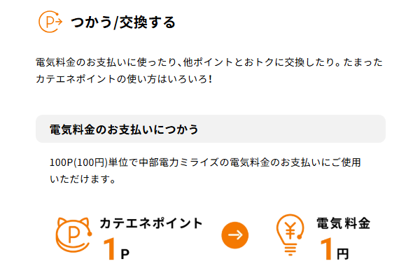 カテエネポイント10P/カテエネコストラップ