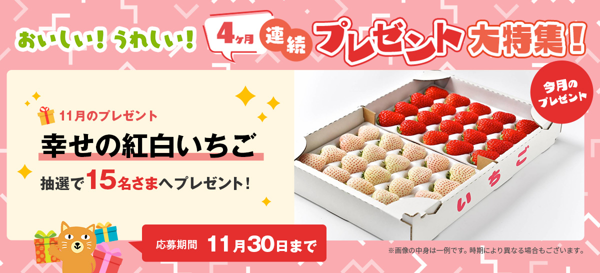 【特集】25年11月プレゼント連続キャンペーン