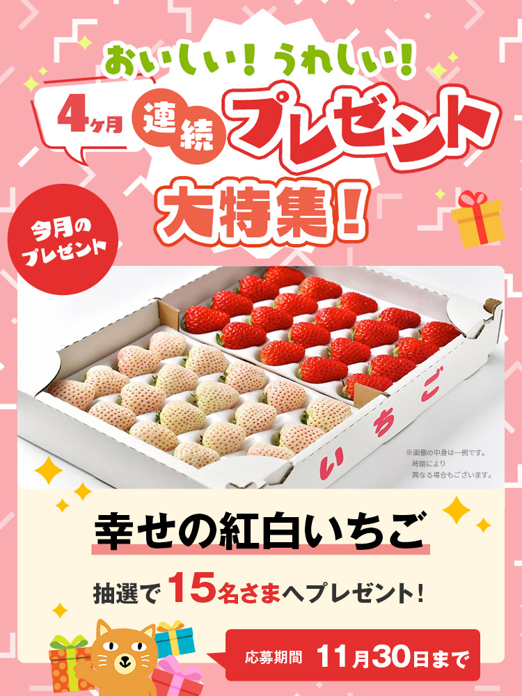 【特集】25年11月プレゼント連続キャンペーン